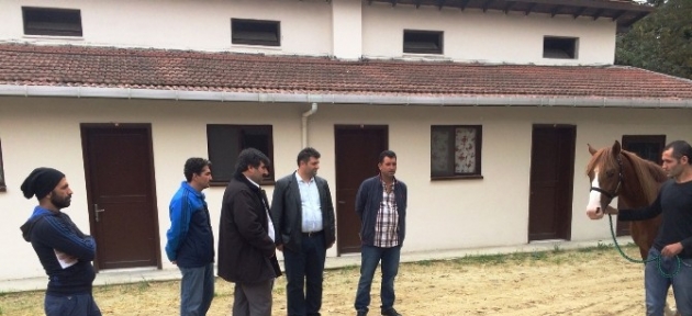 malatyadan_giden_yaris_taylarina_ilgi_buyuk