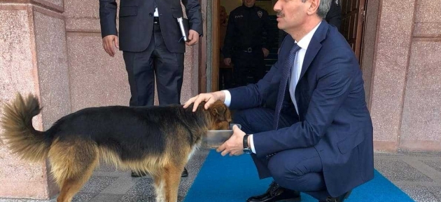 vali_barusun_hayvan_sevgisi_h30437