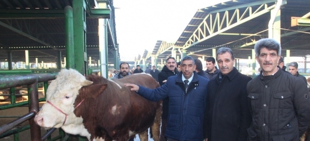 kirmizi_et_ureticilerinden_yem_tepkisi_h30841