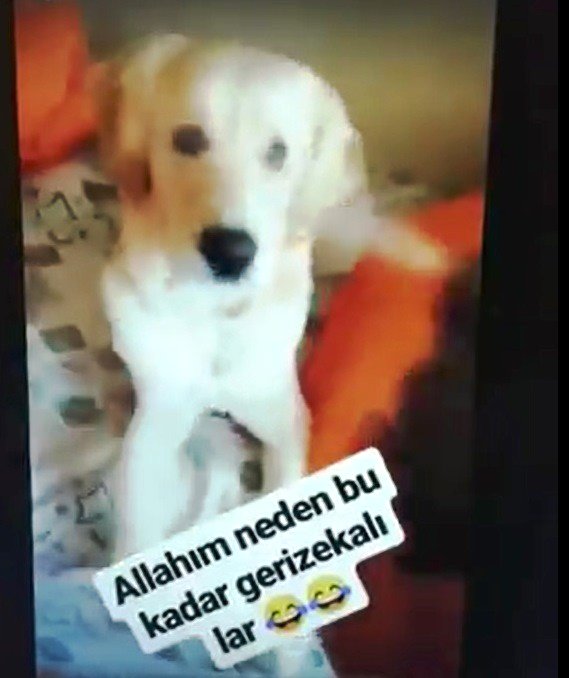 kopegin-gozune-deodorant-sikan-kisi-sosyal-me-11929312_o